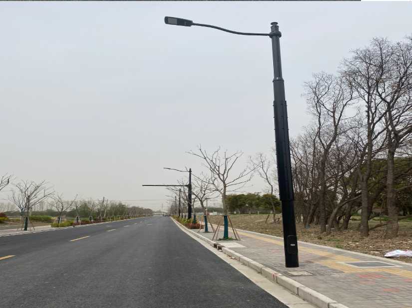 太湖县上海综合杆 太阳能路灯工程